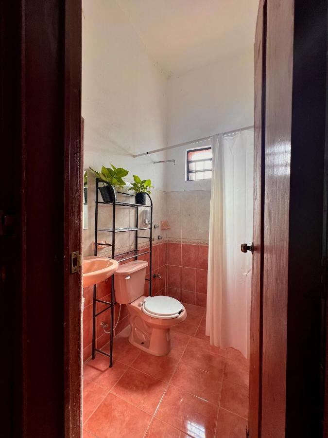 ואיאדוליד Alena Hostal מראה חיצוני תמונה