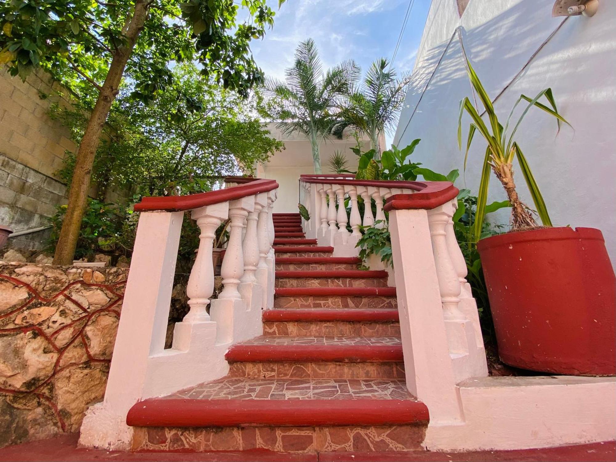 ואיאדוליד Alena Hostal מראה חיצוני תמונה